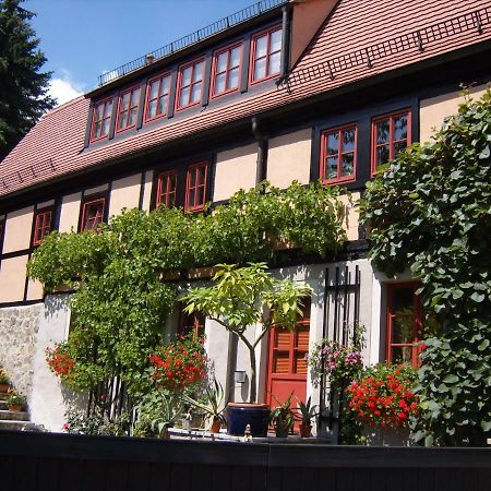 Villa Winzerhaus Rissweg 15 Dresda Esterno foto