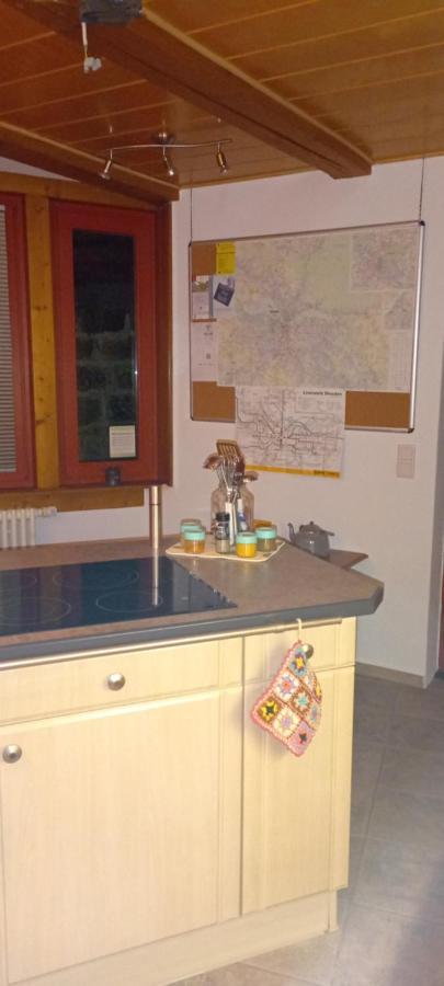 Villa Winzerhaus Rissweg 15 Dresda Esterno foto
