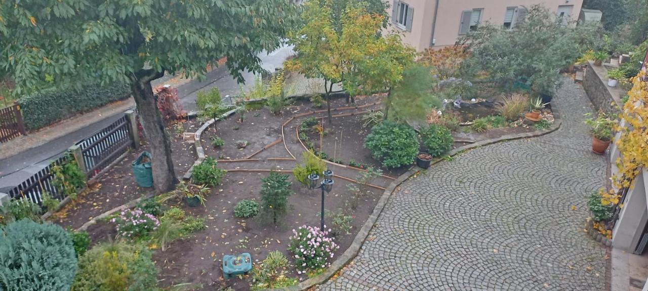 Villa Winzerhaus Rissweg 15 Dresda Esterno foto