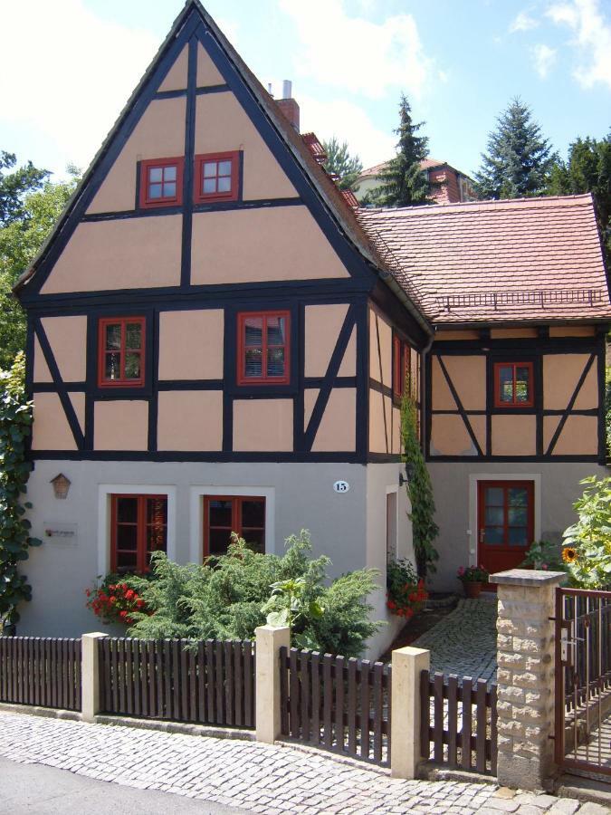 Villa Winzerhaus Rissweg 15 Dresda Esterno foto